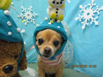 ファイル 6661-1.jpg