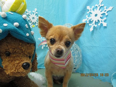 ファイル 6661-2.jpg