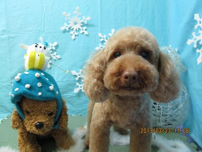 ファイル 6662-1.jpg