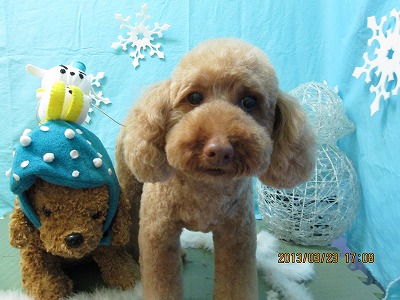 ファイル 6662-2.jpg