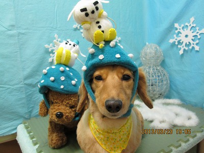 ファイル 6663-1.jpg