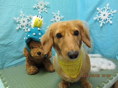 ファイル 6663-2.jpg