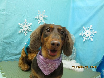 ファイル 6664-2.jpg