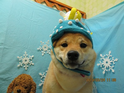 ファイル 6665-1.jpg