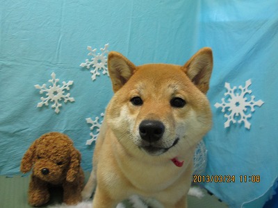 ファイル 6665-2.jpg