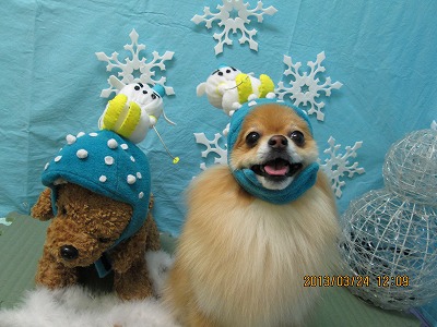 ファイル 6666-1.jpg