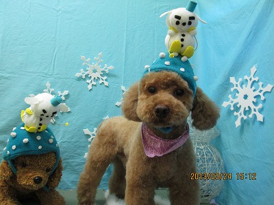 ファイル 6667-1.jpg