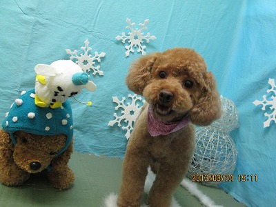 ファイル 6667-2.jpg