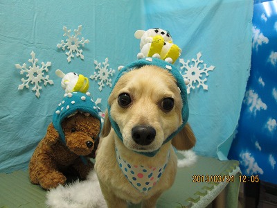 ファイル 6669-1.jpg