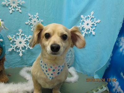 ファイル 6669-2.jpg