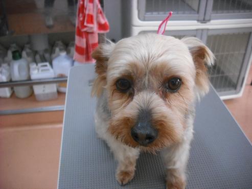 ファイル 667-1.jpg