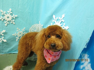 ファイル 6670-2.jpg