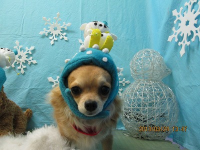 ファイル 6671-1.jpg