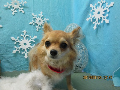 ファイル 6671-2.jpg