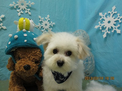 ファイル 6672-2.jpg