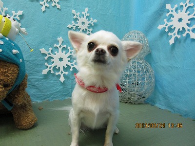 ファイル 6674-2.jpg