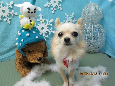 ファイル 6675-2.jpg