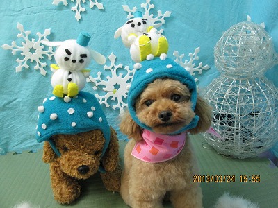 ファイル 6676-1.jpg