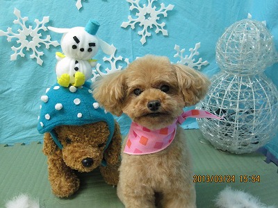 ファイル 6676-2.jpg