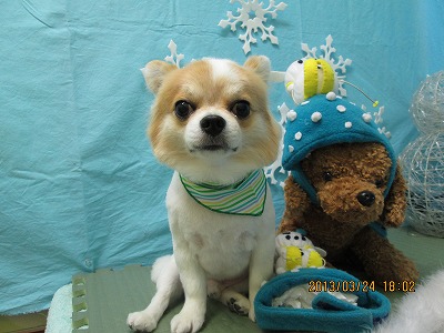 ファイル 6677-1.jpg