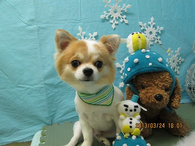 ファイル 6677-2.jpg