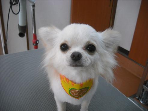 ファイル 668-1.jpg