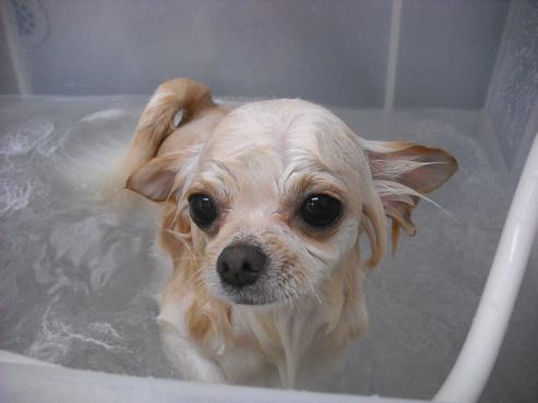 ファイル 668-2.jpg