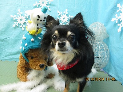 ファイル 6680-1.jpg