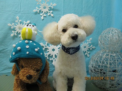 ファイル 6681-1.jpg