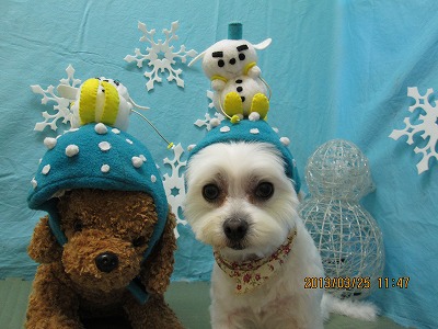 ファイル 6682-1.jpg