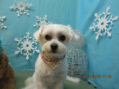 ファイル 6682-2.jpg