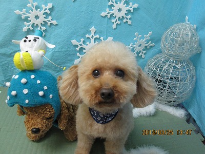 ファイル 6683-2.jpg