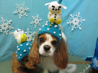 ファイル 6684-1.jpg