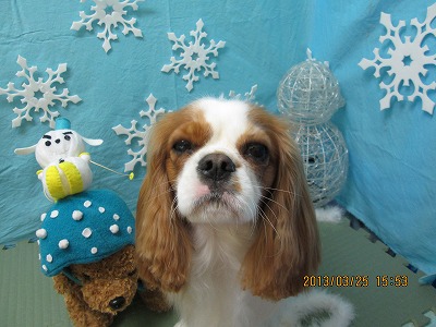 ファイル 6684-2.jpg