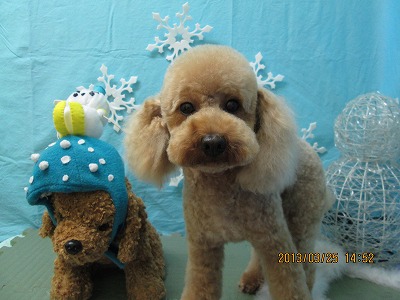 ファイル 6685-1.jpg