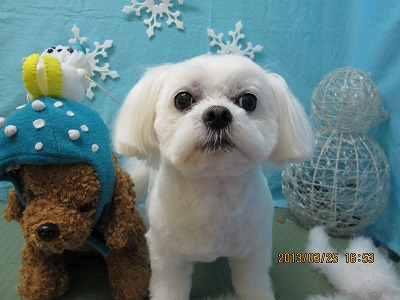 ファイル 6686-2.jpg