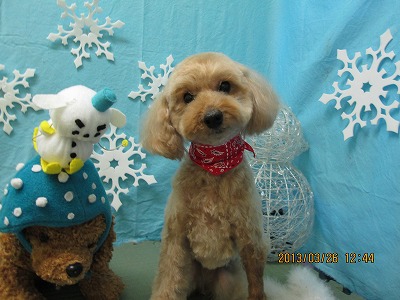 ファイル 6687-1.jpg