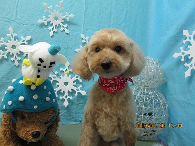 ファイル 6687-2.jpg