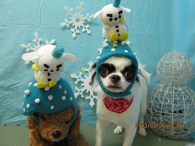 ファイル 6688-1.jpg