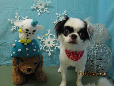 ファイル 6688-2.jpg