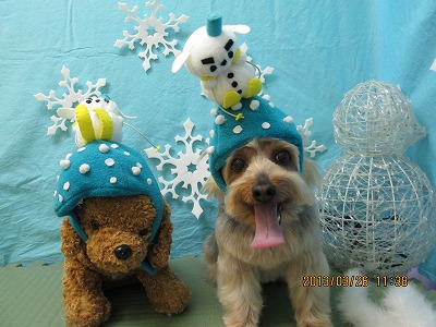 ファイル 6689-1.jpg