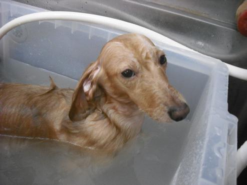 ファイル 669-2.jpg