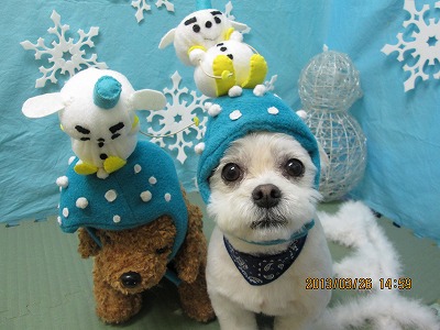 ファイル 6690-2.jpg