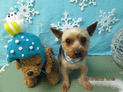 ファイル 6692-1.jpg