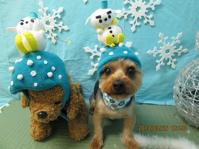 ファイル 6692-2.jpg