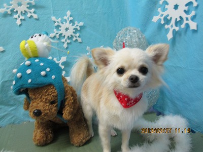 ファイル 6693-1.jpg