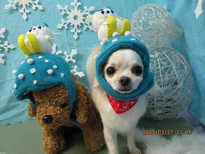 ファイル 6693-2.jpg