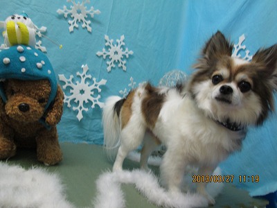 ファイル 6694-2.jpg