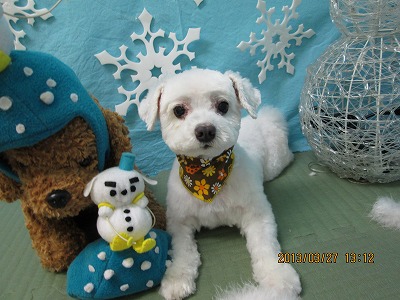 ファイル 6695-1.jpg