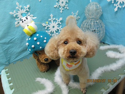 ファイル 6697-1.jpg